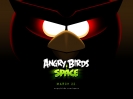 Náhled k programu Angry Birds Space